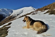 20 Ogni tanto dopo scorribande avanti e indietro breve sosta al fresco